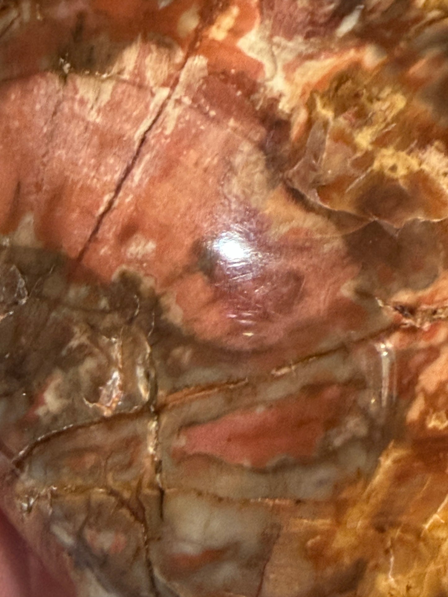 Petrified Wood Heart 🤎 A