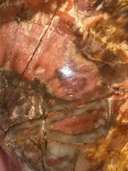 Petrified Wood Heart 🤎 A