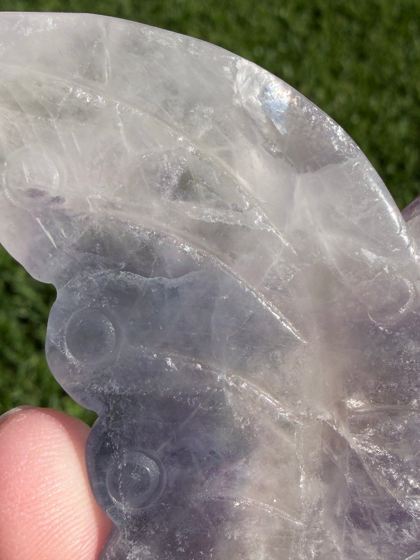 Rare White & Blue Rainbow Fluorite Butterfly Carving 7cm with Stand