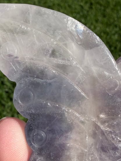 Rare White & Blue Rainbow Fluorite Butterfly Carving 7cm with Stand