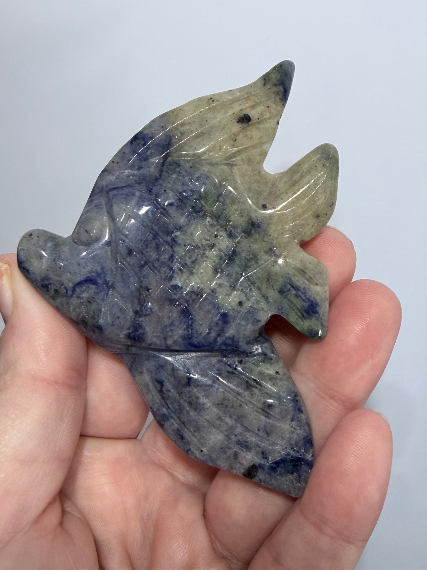 Sodalite Fish Carving with Display Stand | 70g | 9 x 6.5cm
