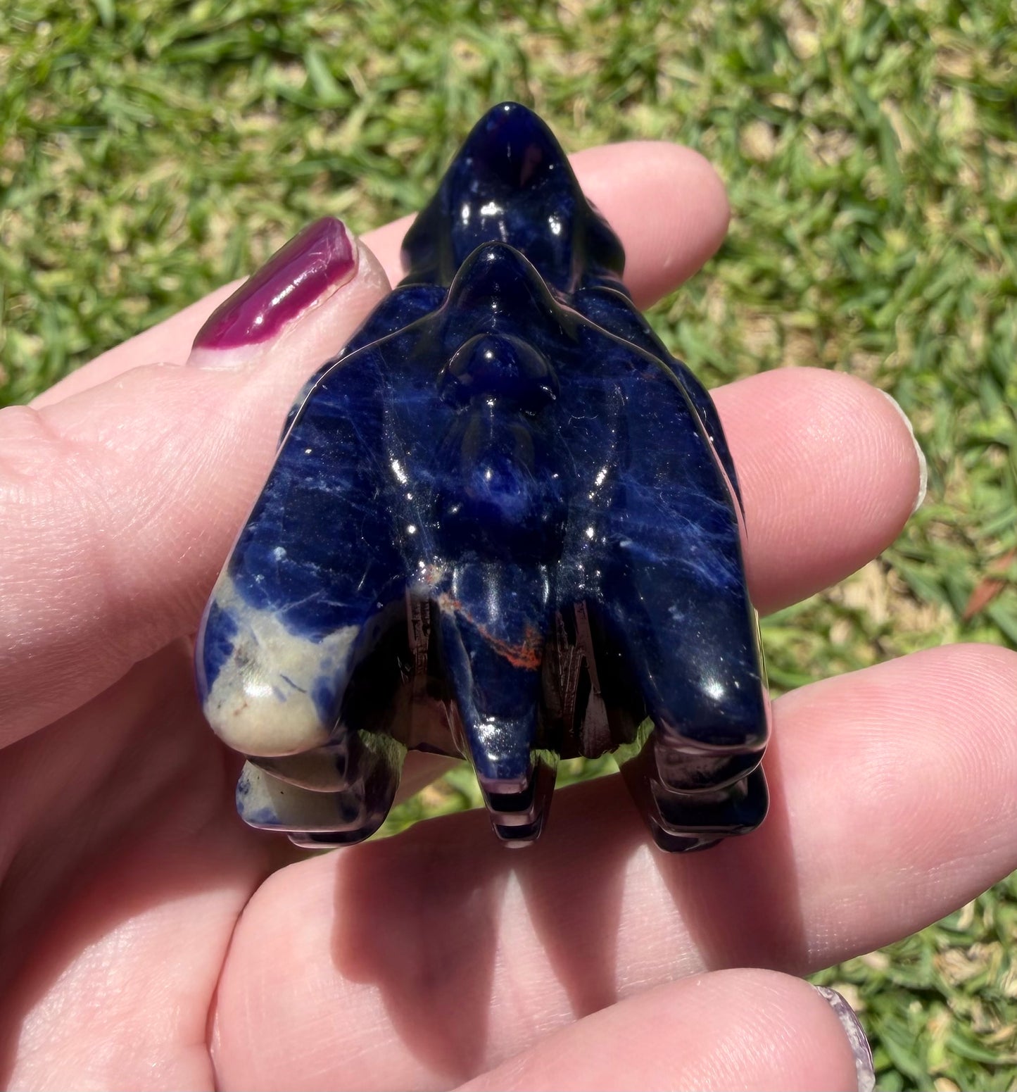 Sodalite Dragon Head