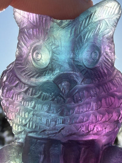 Rare Blue & Pink Rainbow Fluorite Owl Carving – 5.1cm