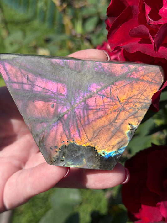 Sunset Flash Labradorite Freeform – Pink, Orange & Gold | 187g