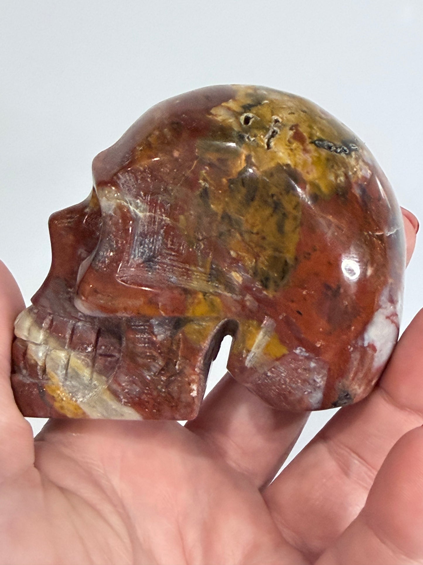 Petrified Wood Crystal Skull – 357g | 7 × 8 cm B
