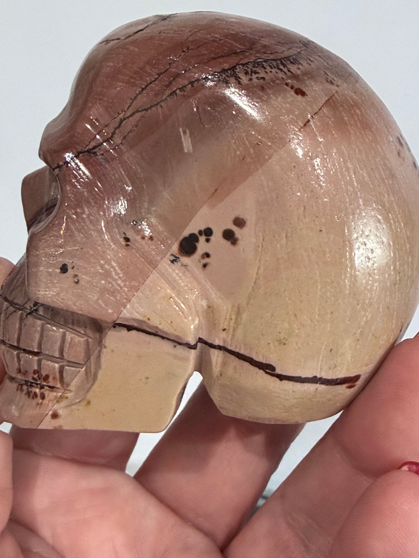 Picture Jasper Skull Carving – 300g
