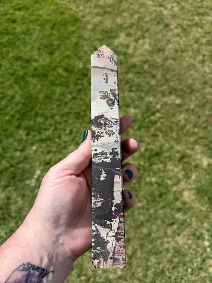 Picture Jasper with Dendritic Inclusions