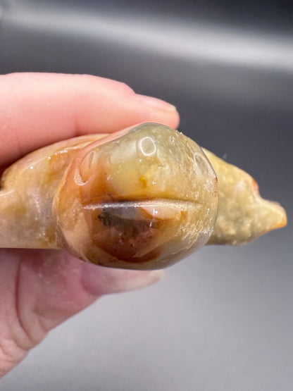 Ocean Jasper Turtle Carving