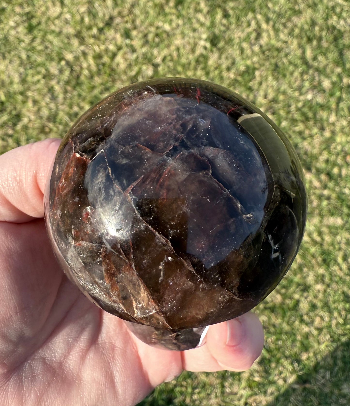 Red Fire Quartz in Smoky Quartz Mushroom