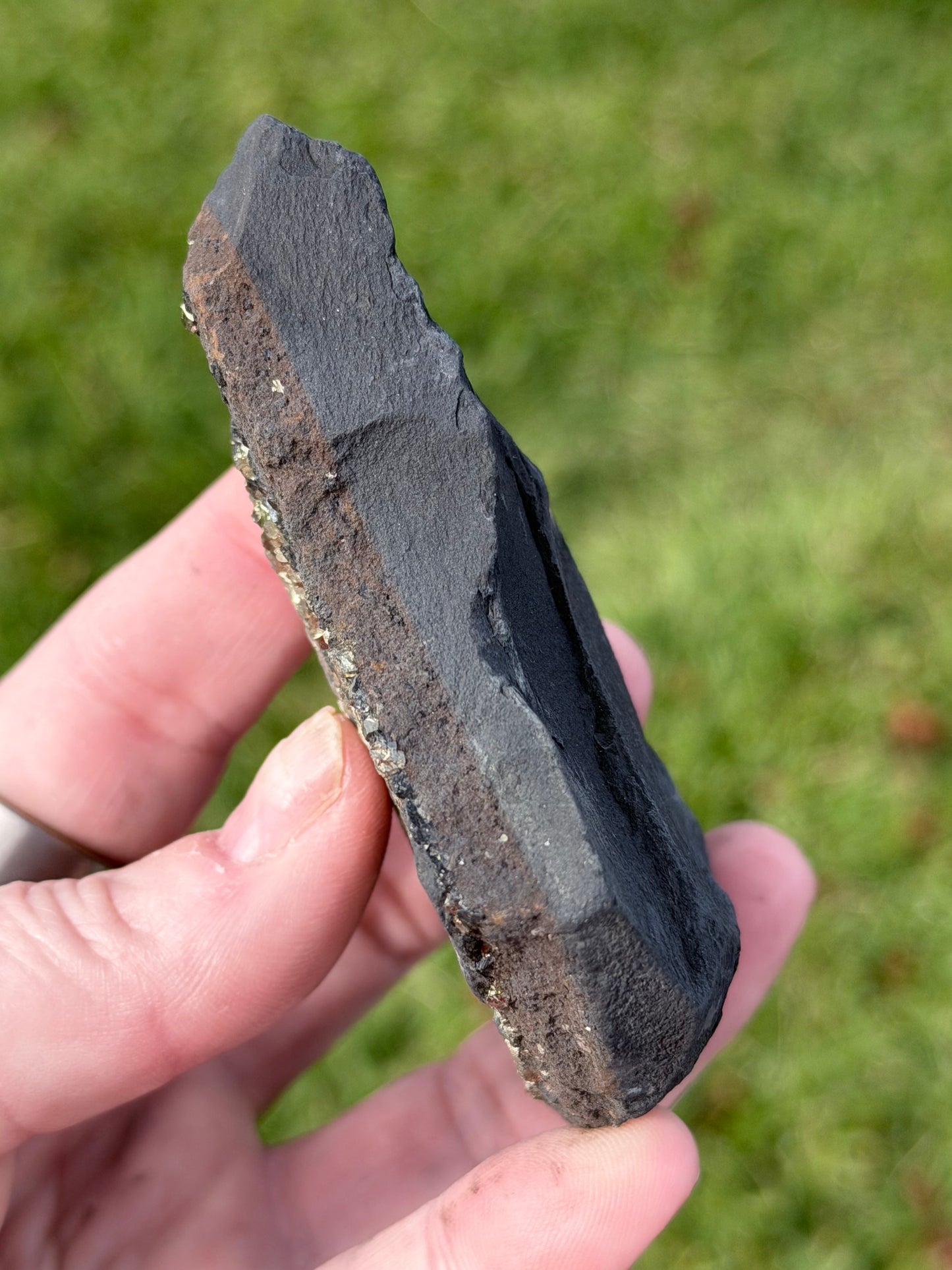 Natural Pyrite on Shungite Specimen – 174g