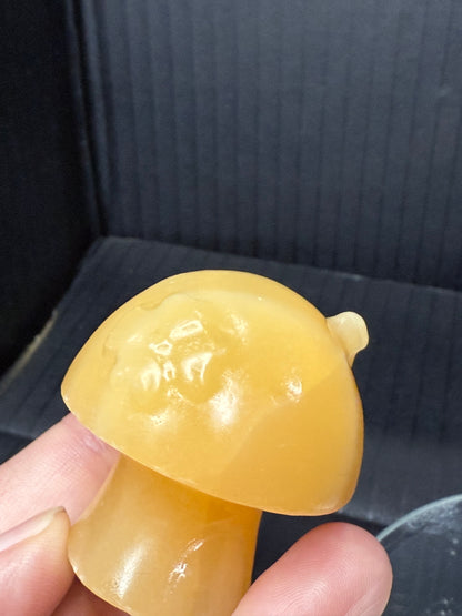 Calcite Fairy House Mushroom