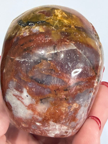 Petrified Wood Crystal Skull – 357g | 7 × 8 cm B