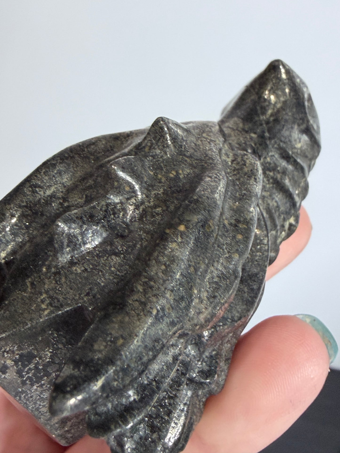 Pyrite Dragon 7cm –
