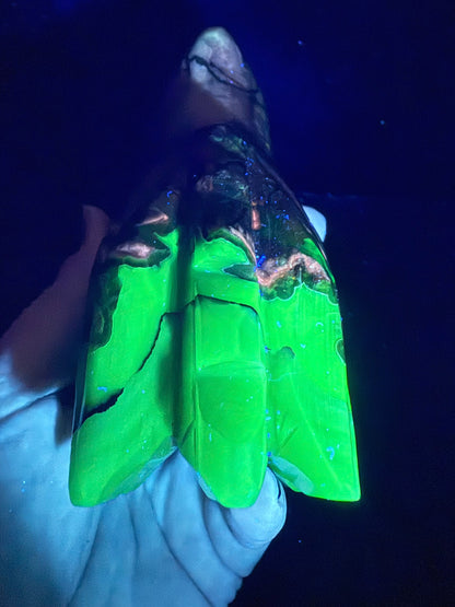 Volcano Agate Dragon Head | 636g | 12.5 × 8.5cm | Amazing Patterns (UV Bonus)