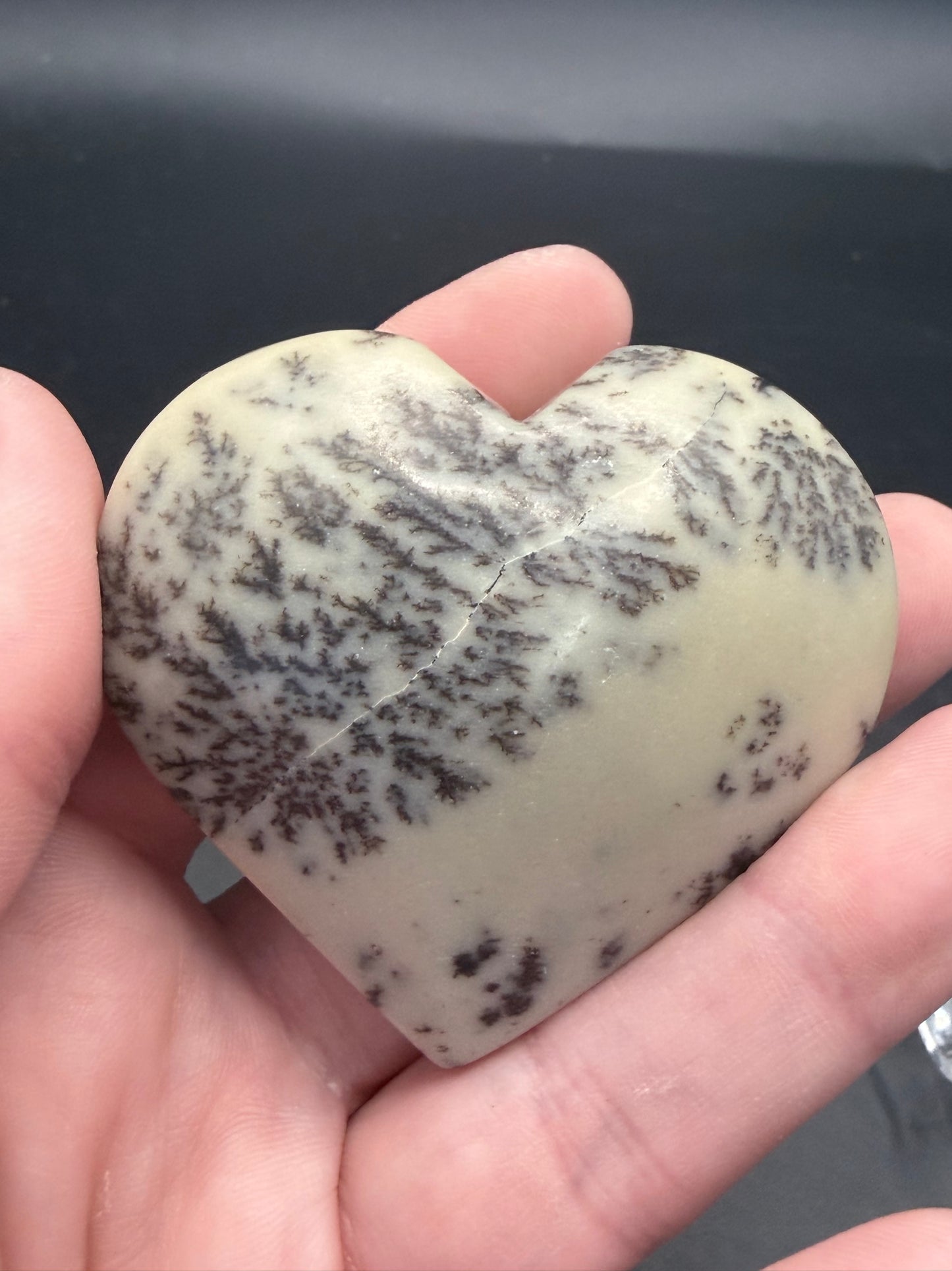 Dendritic Jasper Heart – Grounding & Growth 6.2cm
