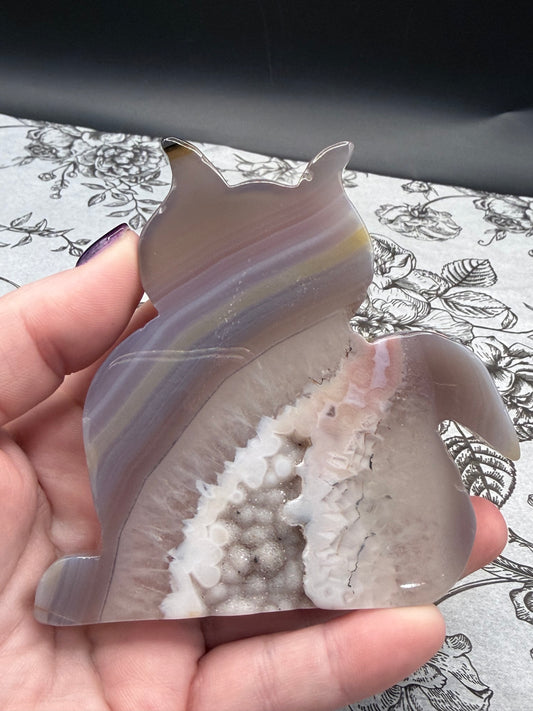 Druzy Agate Cat Geode — 156g | 9.2 x 9.1cm