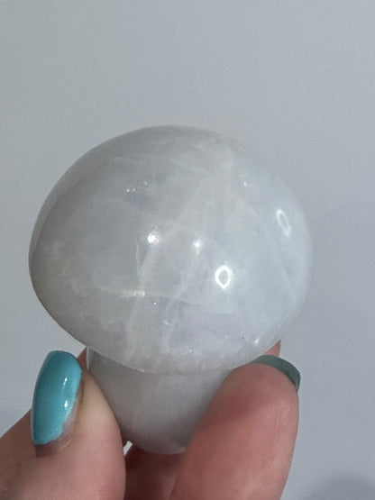 Blue Calcite Mushroom Crystal – A