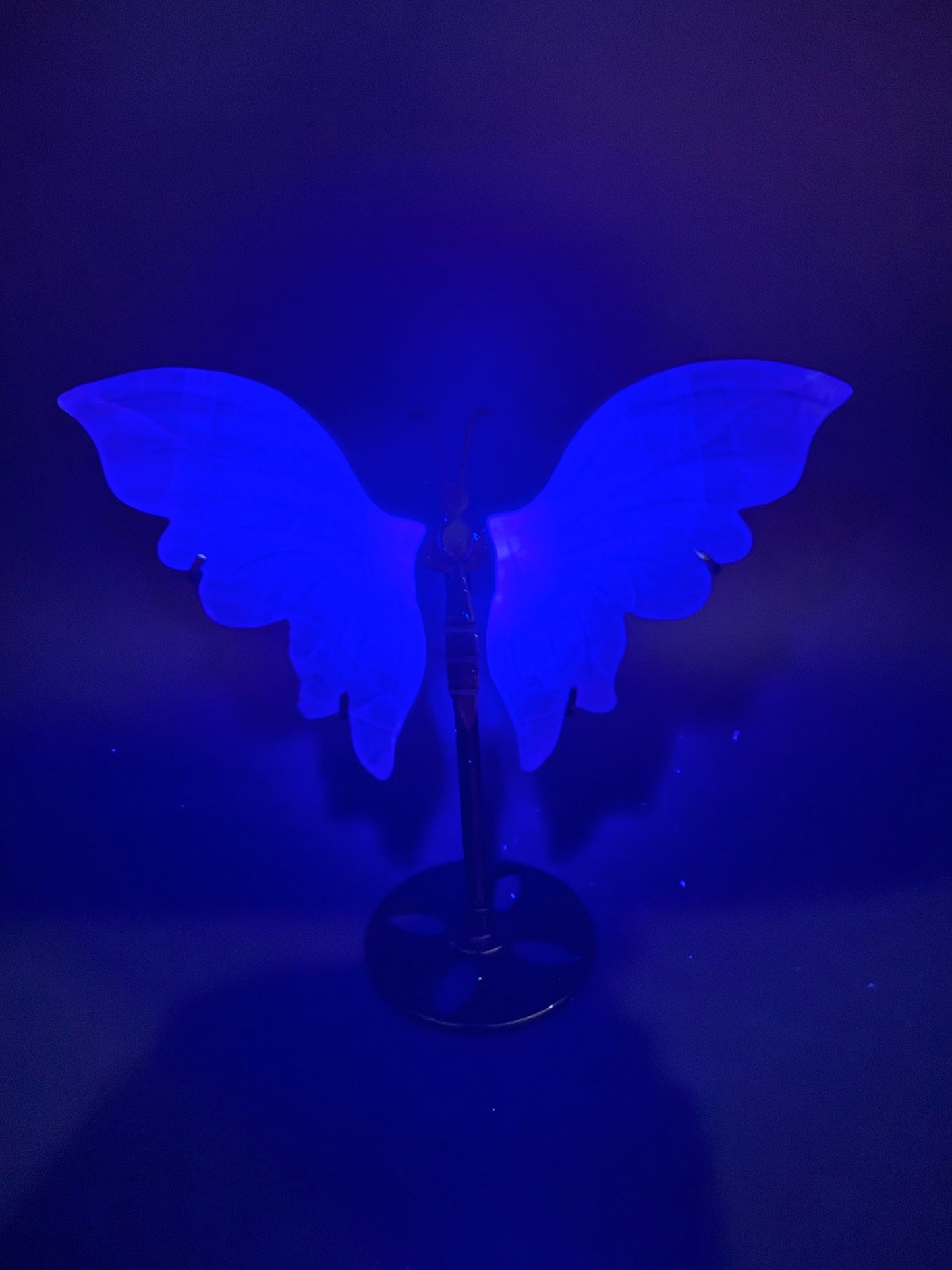 Rainbow Fluorite Butterfly with Stand