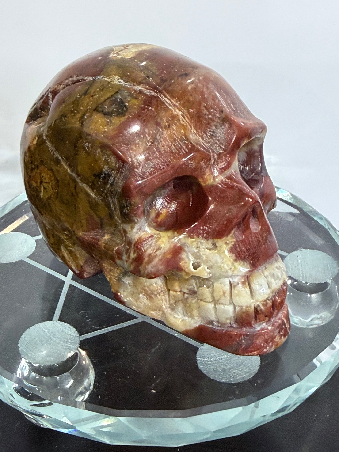 Petrified Wood Crystal Skull – 357g | 7 × 8 cm B