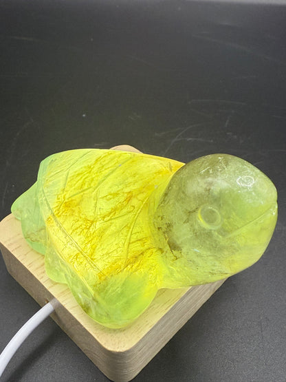 Extra Special Fluorite Turtle with Dendritic Inclusions