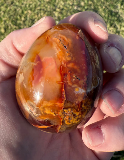 Carnelian Egg – 173 g - Crystal wonderland By Lisa