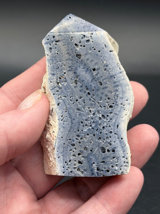 Blue Coral Specimen Tower