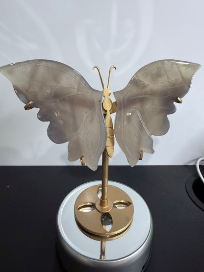 Grey Agate Butterfly Crystal Display on Stand – 15 cm

Calm • Balance • Gentle Grounding