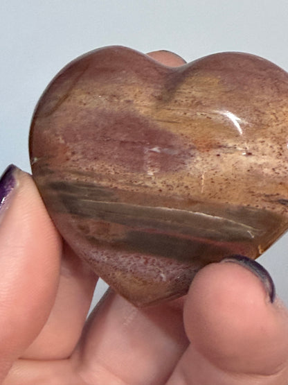 Petrified Wood Heart 🤎 C