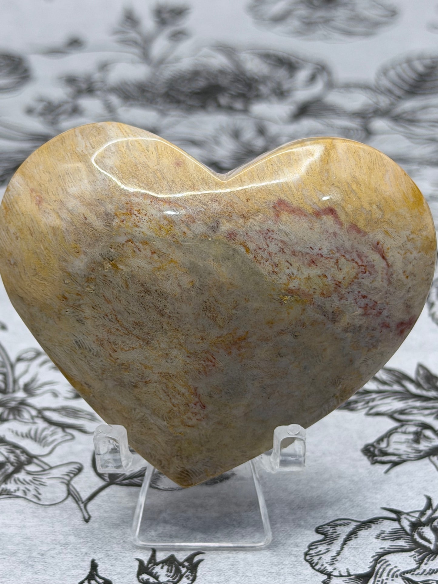 Fossil Coral Heart (85g) – Cream & Honey