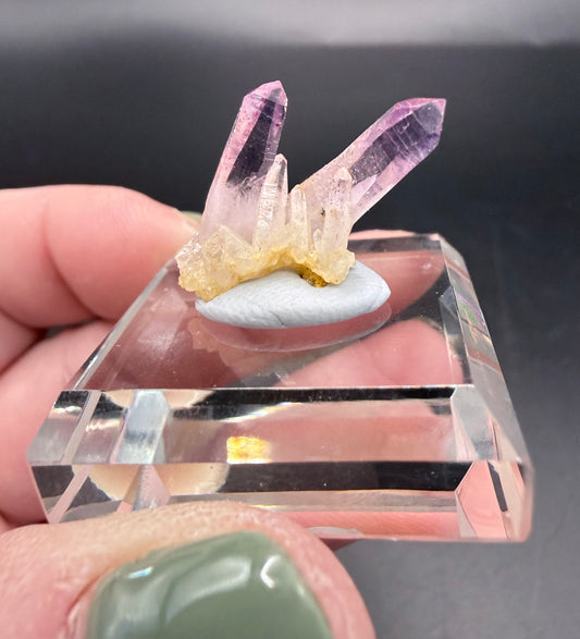 Vera Cruz Amethyst Cluster on Glass Display