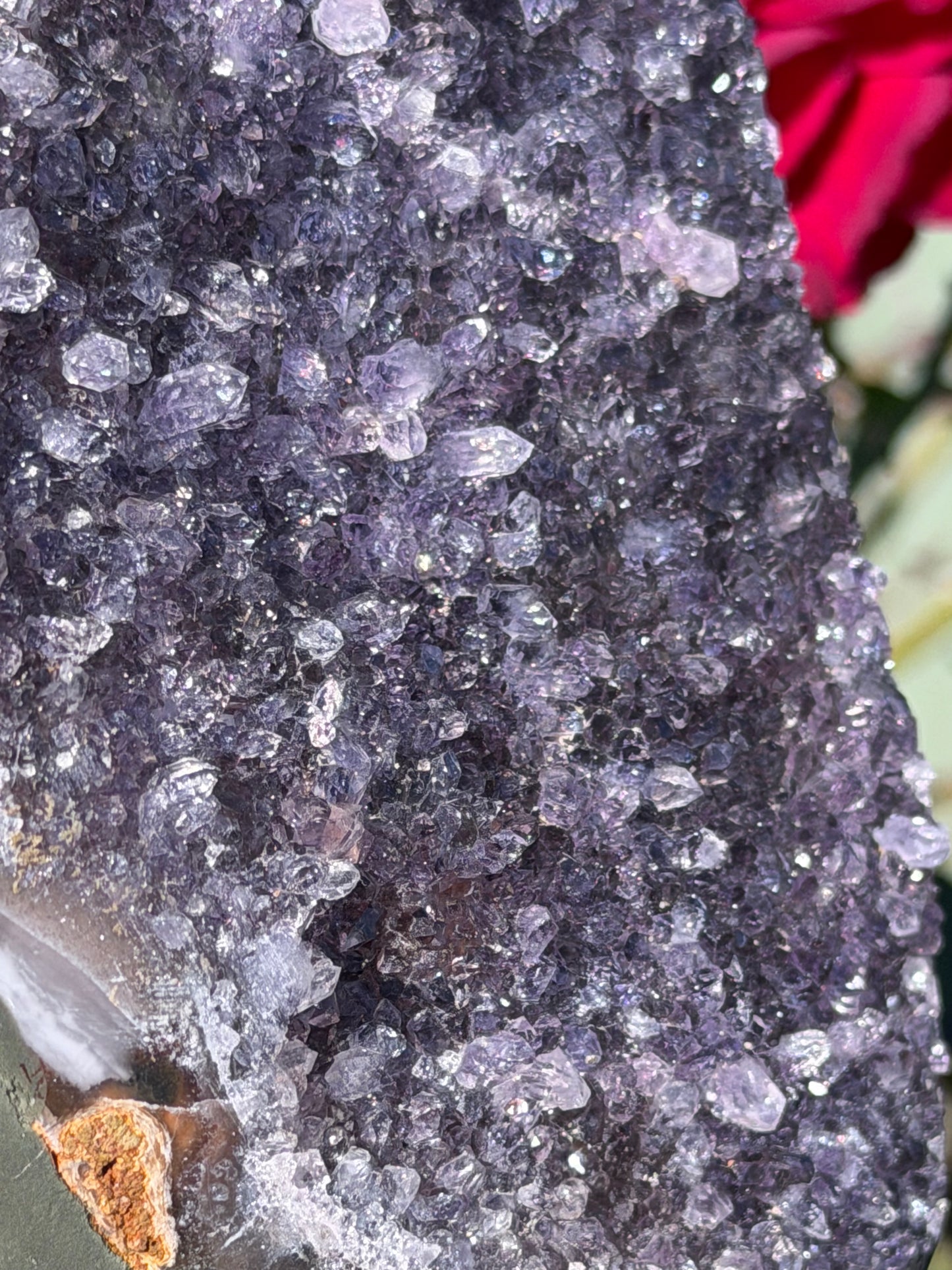 Brazilian Amethyst Druzy Geode – 807g D