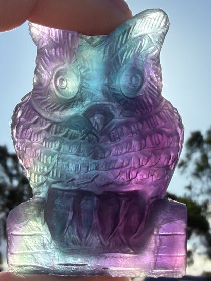 Rare Blue & Pink Rainbow Fluorite Owl Carving – 5.1cm