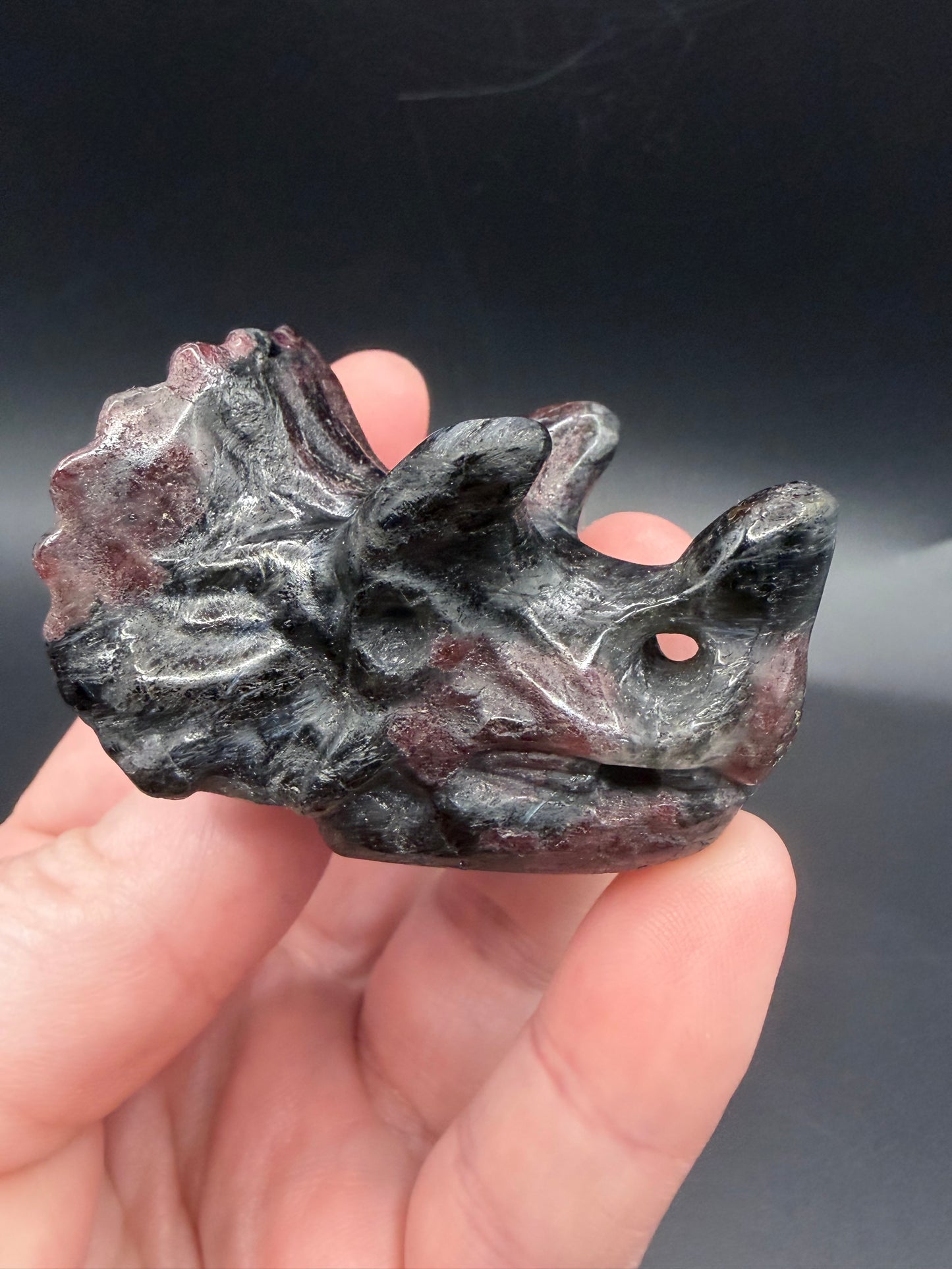 Garnet in Schist Triceratops – Crystal Carving (5cm)