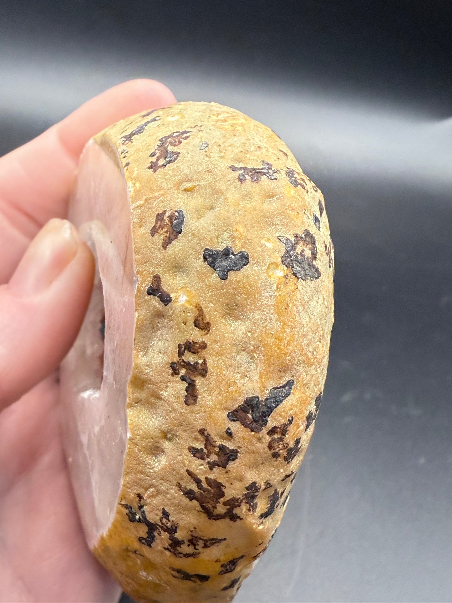 Agate Geode