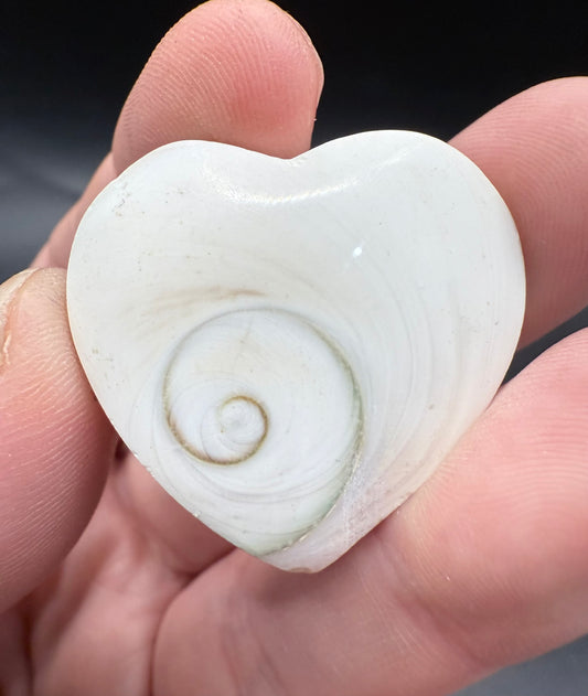Shiva Eye Heart