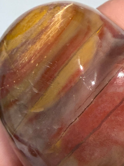 Petrified Wood Heart 🤎 B