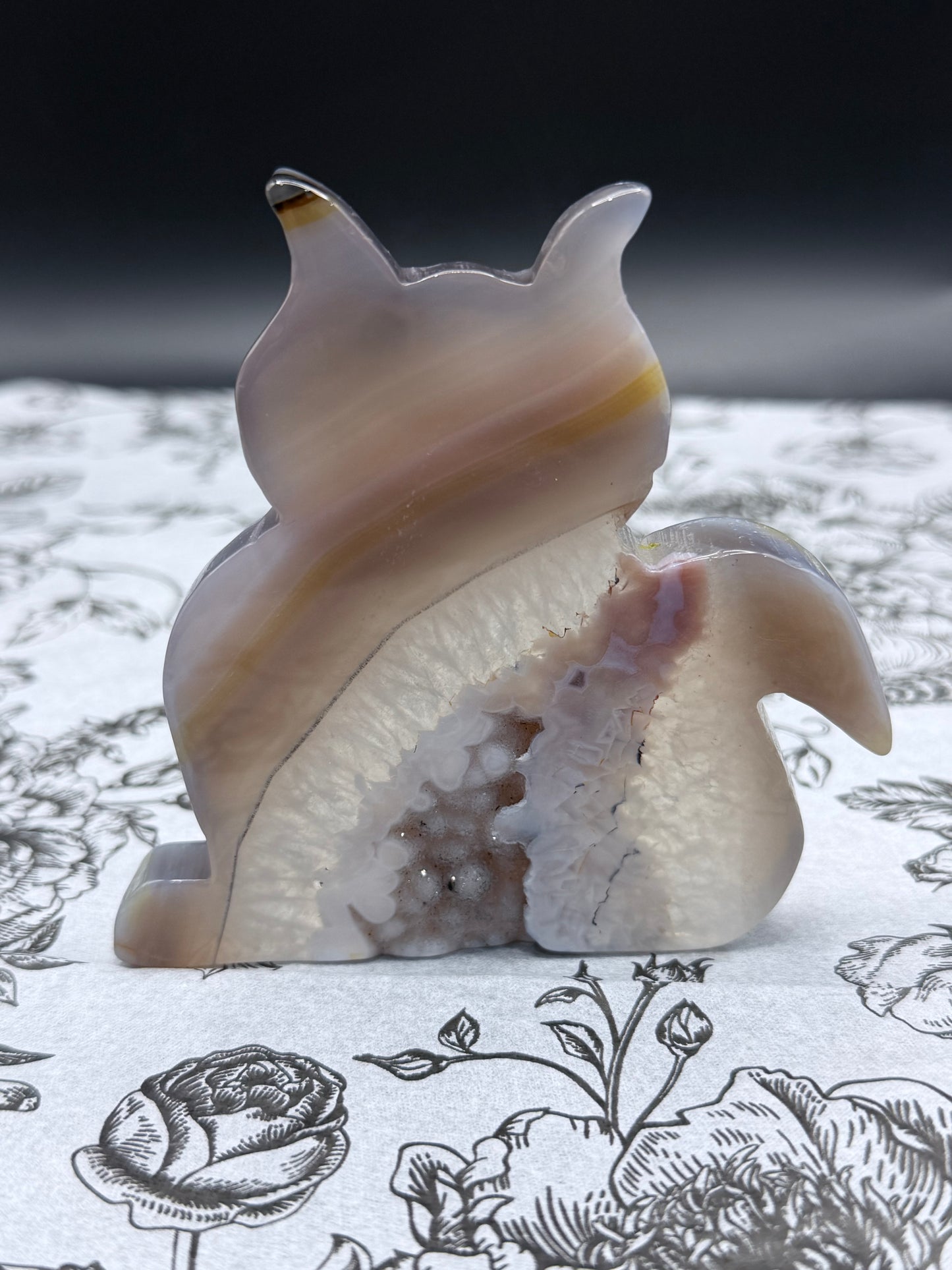 Druzy Agate Cat Geode — 156g | 9.2 x 9.1cm