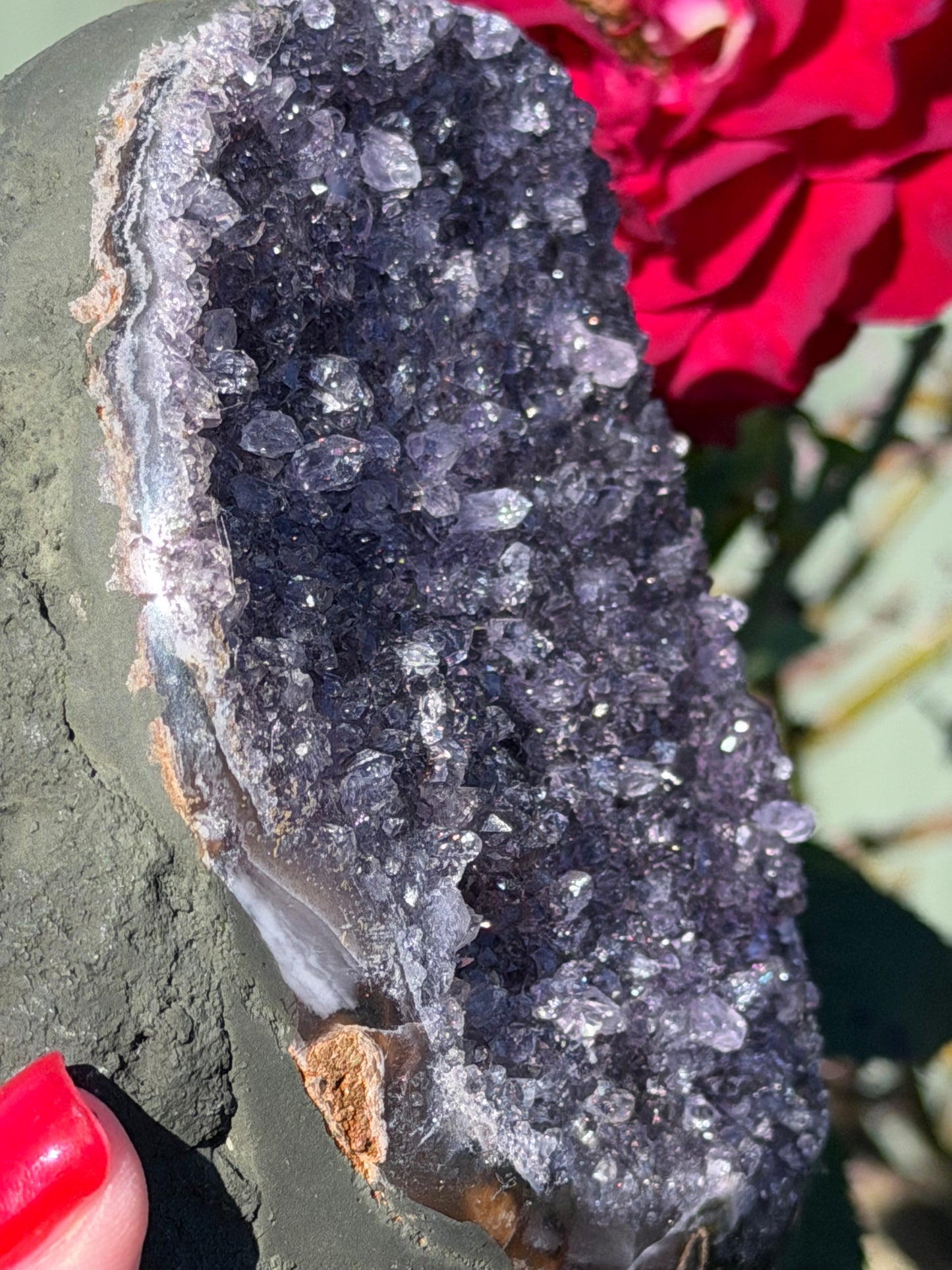 Brazilian Amethyst Druzy Geode – 807g D