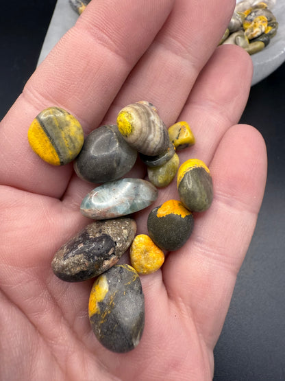 BumbleBee Jasper small Tumbles 50gm