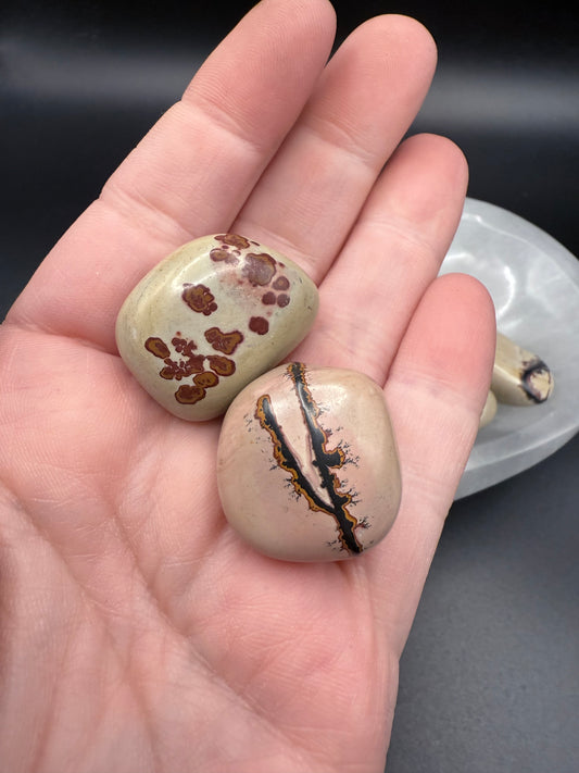 Picture Jasper Tumbles - Crystal wonderland By Lisa