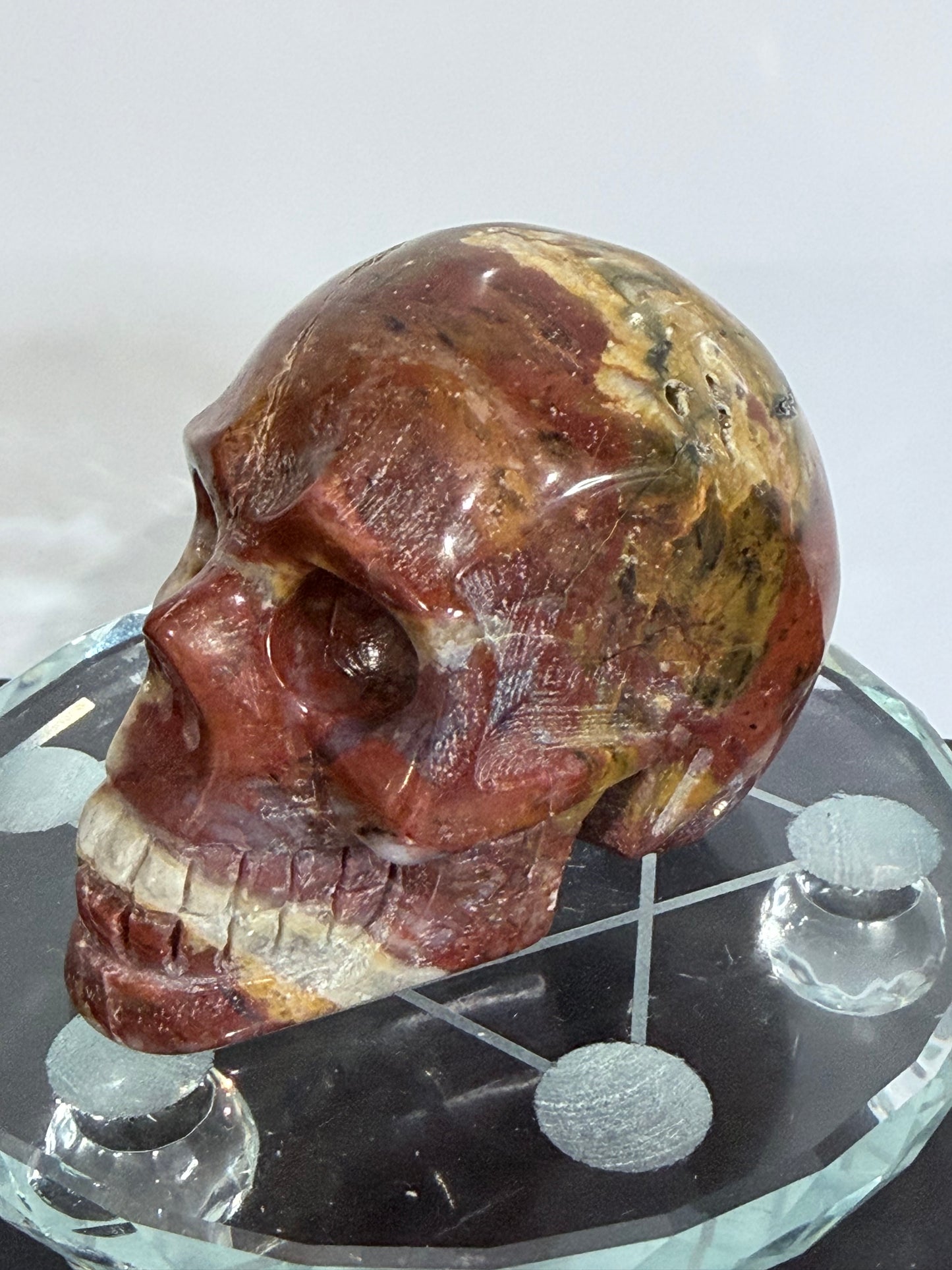 Petrified Wood Crystal Skull – 357g | 7 × 8 cm B