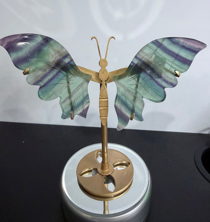 Rainbow Fluorite Butterfly on Stand – 15cm (Discounted)