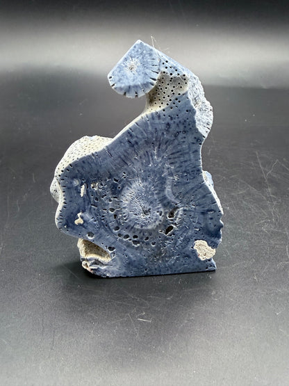 Blue Coral Specimen Tower