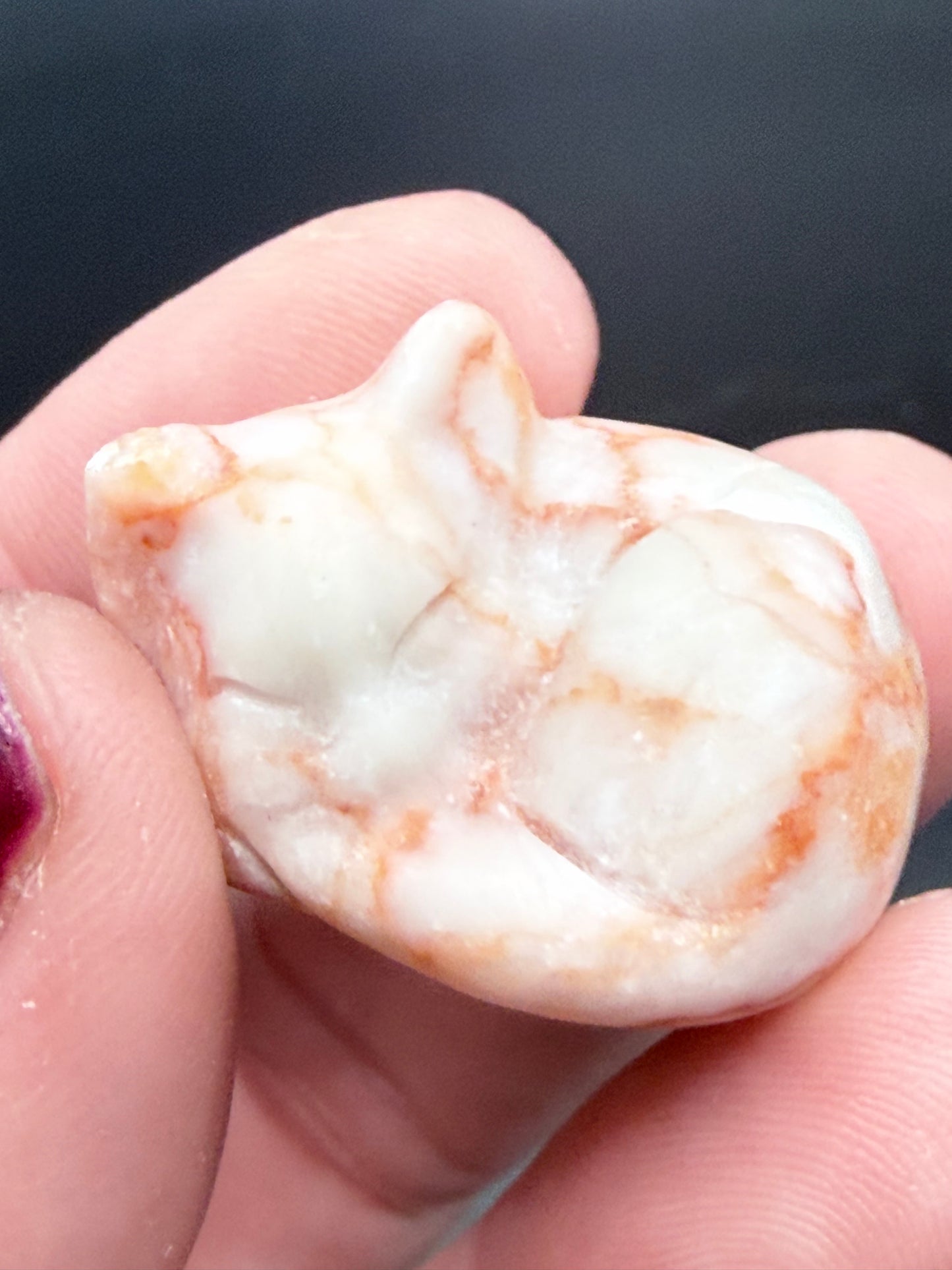 Sleeping Crystal Cats – Peace, Comfort & Protection