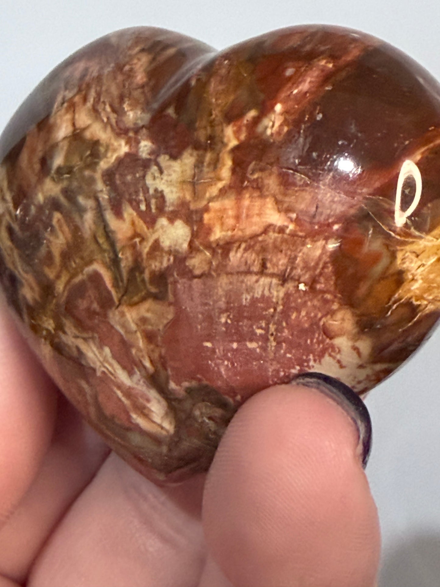 Petrified Wood Heart 🤎 A
