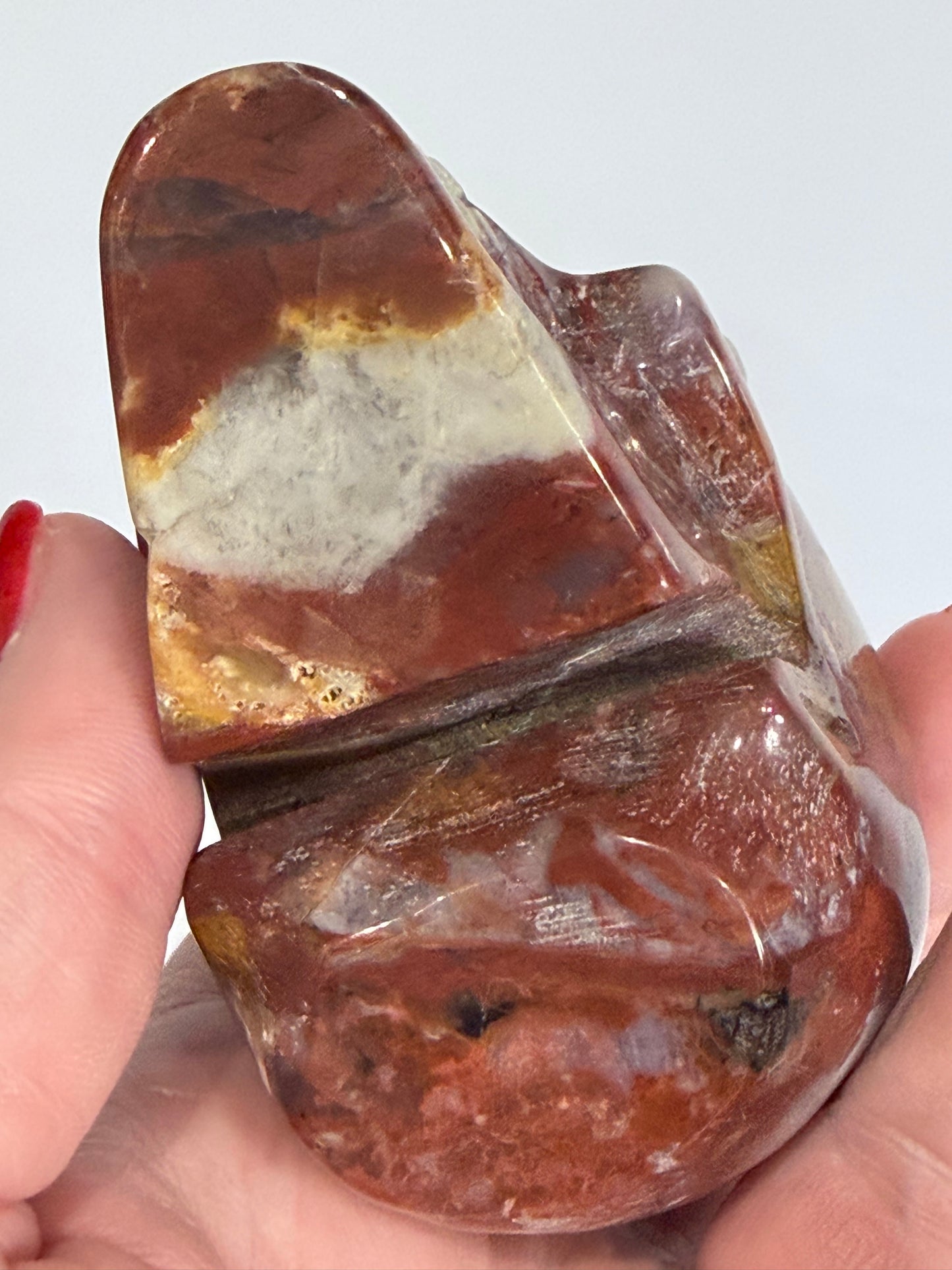 Petrified Wood Crystal Skull – 357g | 7 × 8 cm B