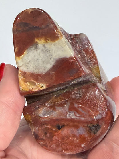 Petrified Wood Crystal Skull – 357g | 7 × 8 cm B