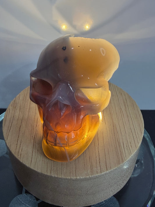 Agate Skull with Sugar Druzy Base – 6.5cm | 106g