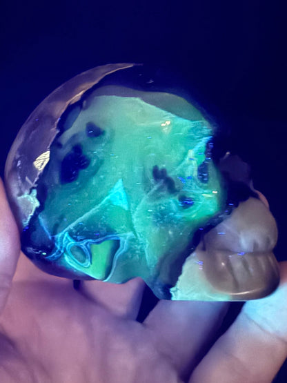 Volcano Agate Skull | 377g