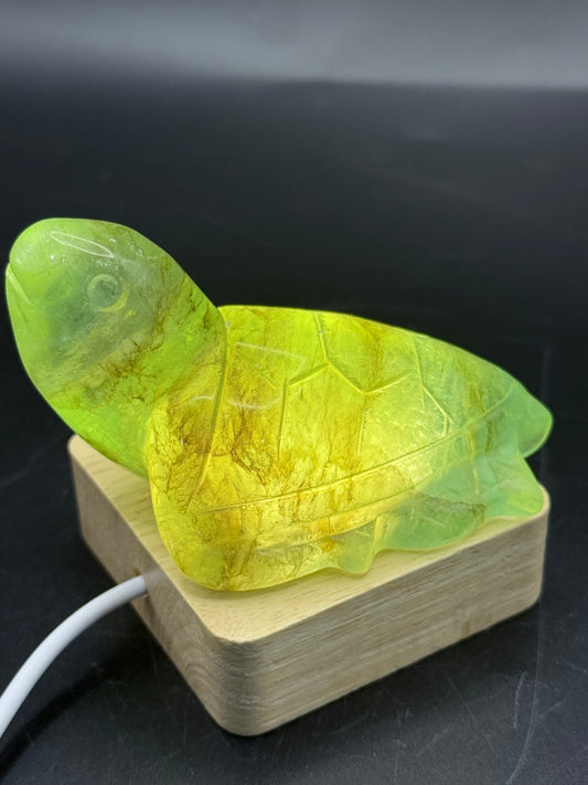 Extra Special Fluorite Turtle with Dendritic Inclusions - Crystal wonderland By Lisa